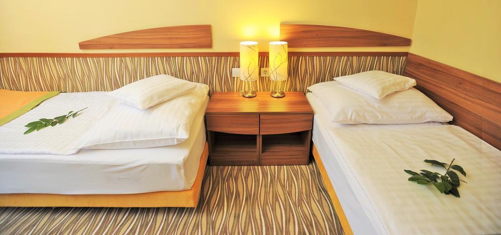 Park Hotel Дьюла Номер фото