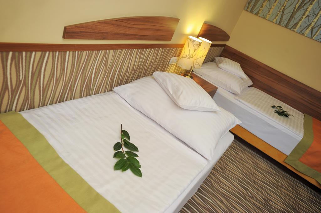 Park Hotel Дьюла Номер фото